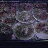 Malungs Hundkafé/hunddagis Dryck