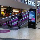 China Garden Utomhus