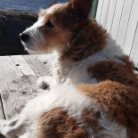 Seglarpaviljongen Dryck