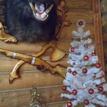 Grand Station Inomhus