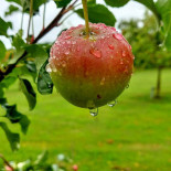 Restaurang Långa Raden Dryck