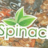 Spinaci Logotyp