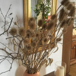 Restaurang Sand Dryck