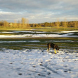 Viksjö Golfrestaurang Utomhus