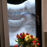 Gammelstads Grill Och Pizzeria Dryck