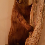 Jara Kitchen And Dryck