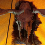 Stejk Street Food Dryck