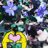 Picknickkorgen.se Dryck