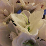 Picknickkorgen.se Dryck