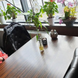 Linnea Basilika Löddeköpinge Dryck