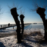 Bjerreds Saltsjöbad Utomhus