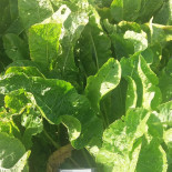 Karlslunds Herrgaard Dryck