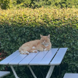 Karlslunds Herrgaard Utomhus