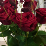 Jiaozi I Nordmaling, Ab Dryck