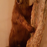 Hotell Valhall Dryck