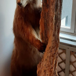 Hotell Valhall Dryck