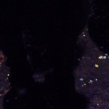 Pizzeria Felino Dryck