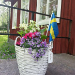 Åsmule Kafé Utomhus