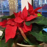 Perstorp Stationen Café Och Kök Dryck