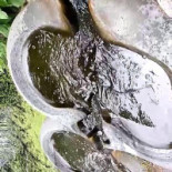 Kulturhuset I Ytterjärna Dryck