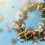 Sjostaden Skybar Dryck