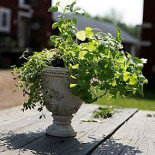 Lovö Magasin Utomhus