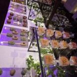 Restaurang Agapi Grill Utomhus