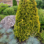 Viksjö Golfrestaurang Utomhus