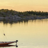 Grisslinge Bistraud Utomhus