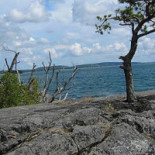 Grisslinge Bistraud Utomhus