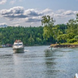 Grisslinge Bistraud Utomhus