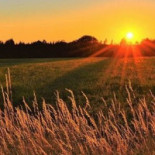 Grisslinge Bistraud Utomhus