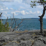 Grisslinge Bistraud Utomhus