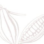 CafÉ SjÖstugan Logotyp