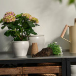 Ikea Restaurangen Dryck