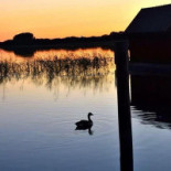 Borgåsunds Hamncafé Utomhus