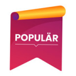 Burger Boys Thai Wok Logotyp