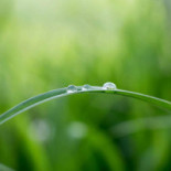 Hotell Alfred Nobel Dryck