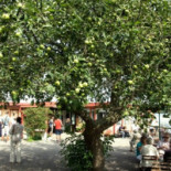 Blockhusporten Utomhus