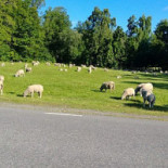 Blockhusporten Utomhus