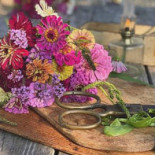 Skroten Café Och Skeppshandel Dryck