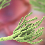 Nobel Prize Museum Dryck