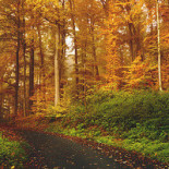 Kringlans Finbageri I Karlskoga Ab Utomhus