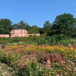 Rosendals Trädgård Utomhus