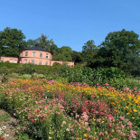 Rosendals Trädgård Utomhus