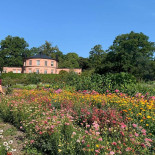 Rosendals Cafe Utomhus