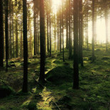 Cedergrenska Tornet Ab Utomhus