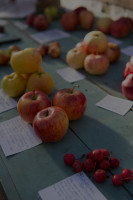 Äppelfabriken Dryck