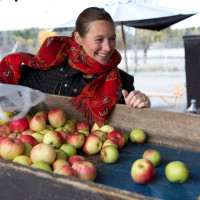 Äppelfabriken Dryck