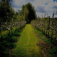 Äppelfabriken Utomhus